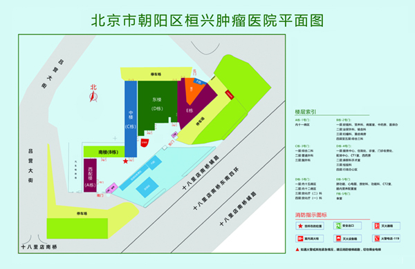 操鸡巴视频网站北京市朝阳区桓兴肿瘤医院平面图